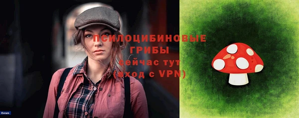 первитин Богородицк