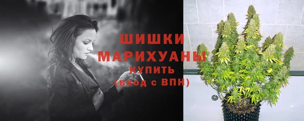 первитин Богородицк