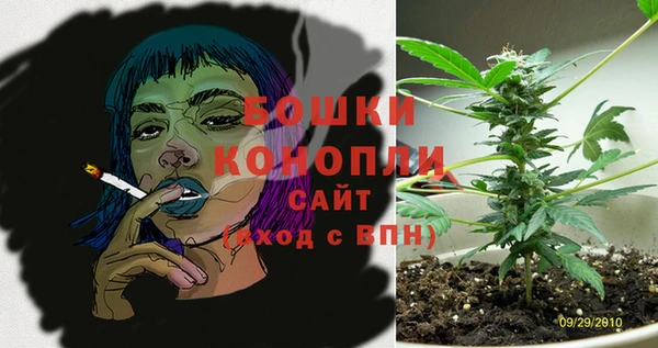 первитин Богородицк