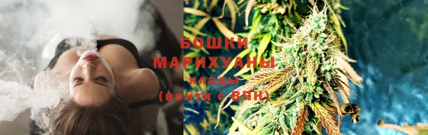первитин Богородицк