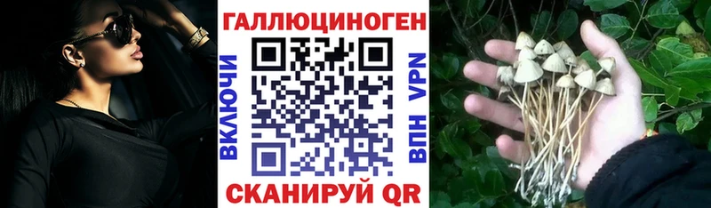 Псилоцибиновые грибы Cubensis  сколько стоит  Тихвин 